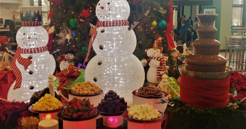 Florida Chocolate Fountain Rentals for your event