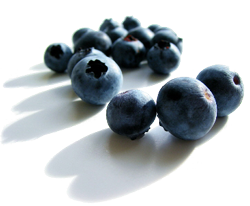 Blueberries for Cheese Fountain Pots for Holidays, Birthdays, Weddings, Proms and Catering in Tampa & Orlando
